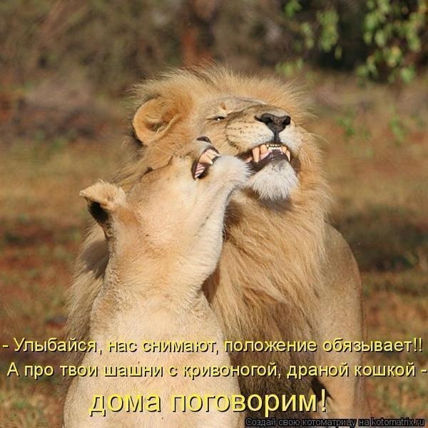 http://cs10160.vkontakte.ru/u12874593/148833370/x_ccb92005.jpg